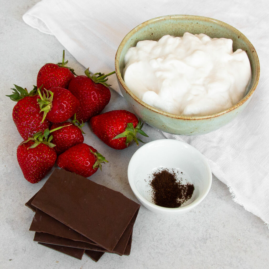 Alle Zutaten sind einzeln zu sehen: Erdbeeren, Joghurt, Schokolade und Vanille.